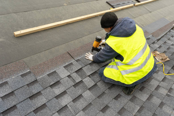 Best Metal Roofing Contractor  in Biscoe, NC