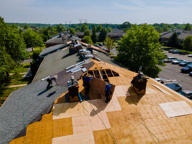 Professional Roofing Contractor in Biscoe, NC