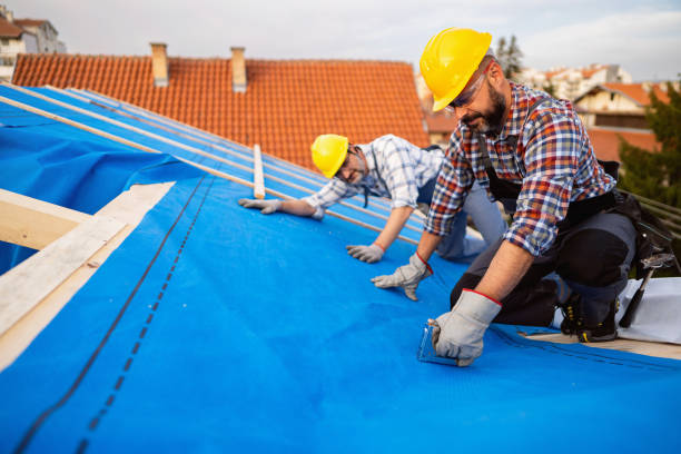 Quick and Trustworthy Emergency Roof Repair Services in Biscoe, NC